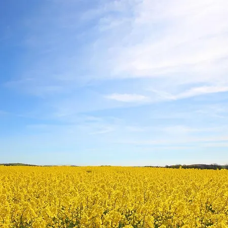Lägenhet Mit Meerblick Und Balkon, Gratis Nutzung Vom Ahoi Erlebnisbad Und Sauna In Sellin - Meeresblick 39 *